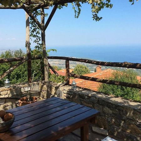 Villa Pasithea Panteleimon Bagian luar foto